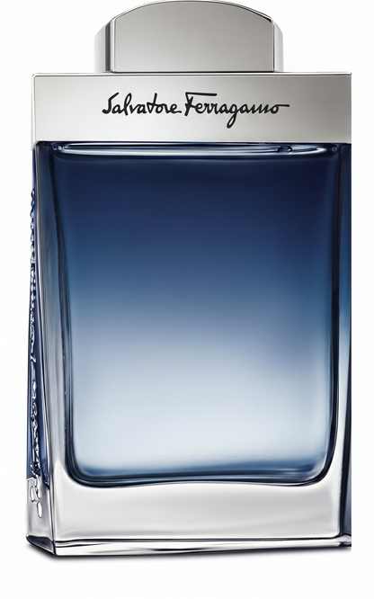 Salvatore Ferragamo Subtil Pour Homme