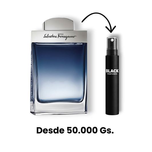 Salvatore Ferragamo Subtil Pour Homme