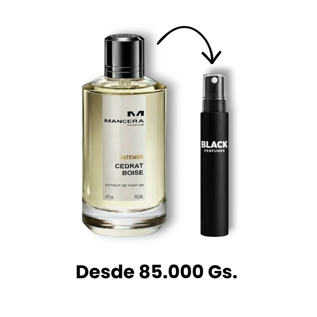 Mancera	Intense Cedrat Boise